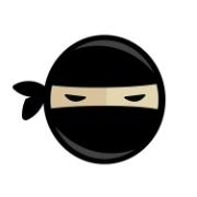 Code Ninjas