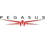 Pegasus Aviation Services